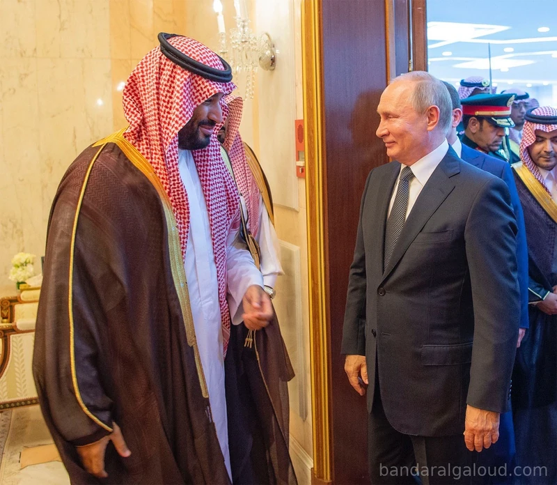 سيدي خادم الحرمين الشريفين وفخامة الرئيس الروسي في قصر اليمامة - صورة 4