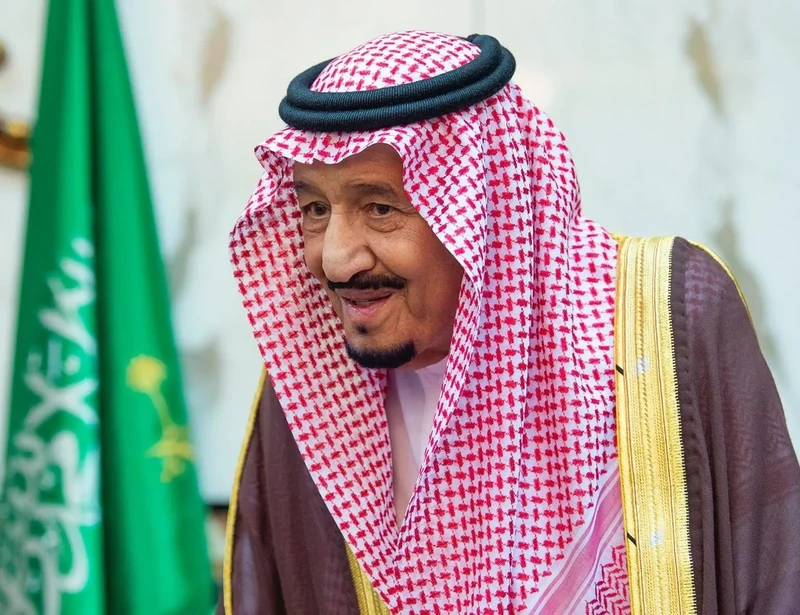 سيدي خادم الحرمين الشريفين يستقبل رئيس الاتحاد السويسري - صورة 22