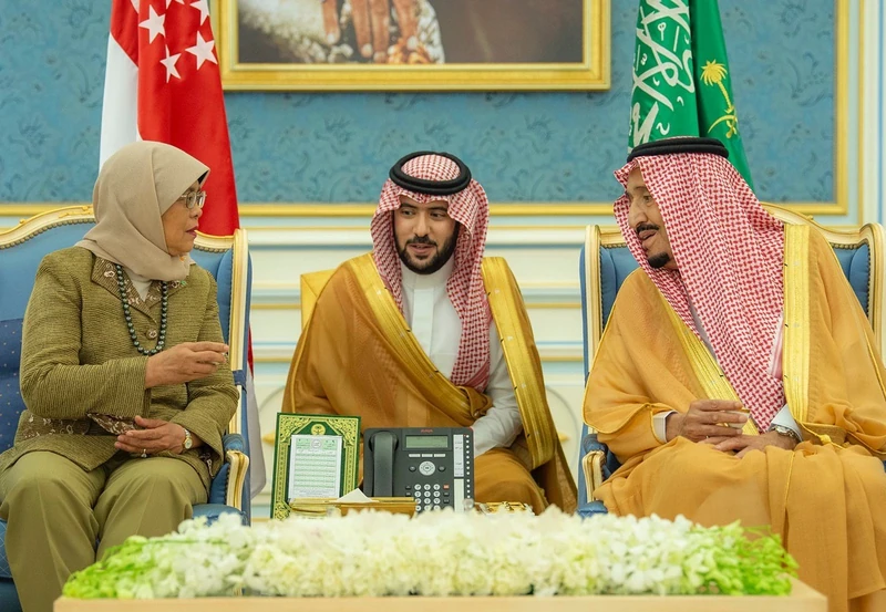 سيدي خادم الحرمين الشريفين خلال استقباله رئيسة جمهورية سنغافورة - صورة 4