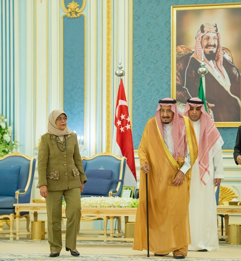 سيدي خادم الحرمين الشريفين خلال استقباله رئيسة جمهورية سنغافورة - صورة 5