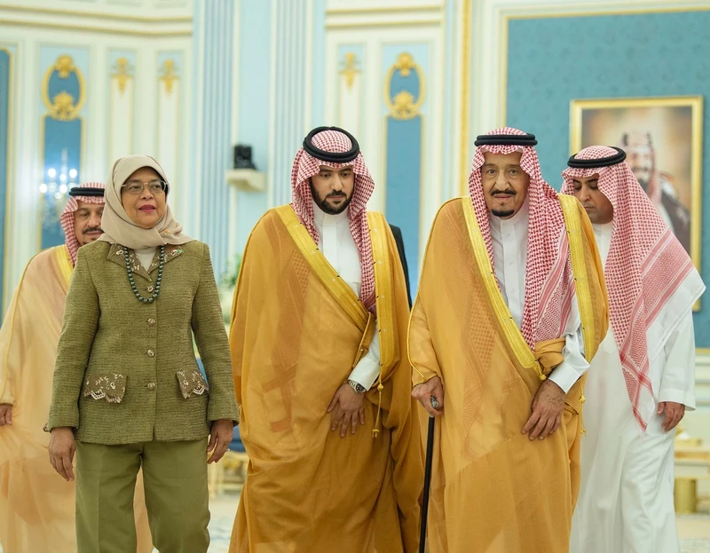 سيدي خادم الحرمين الشريفين خلال استقباله رئيسة جمهورية سنغافورة - صورة 6