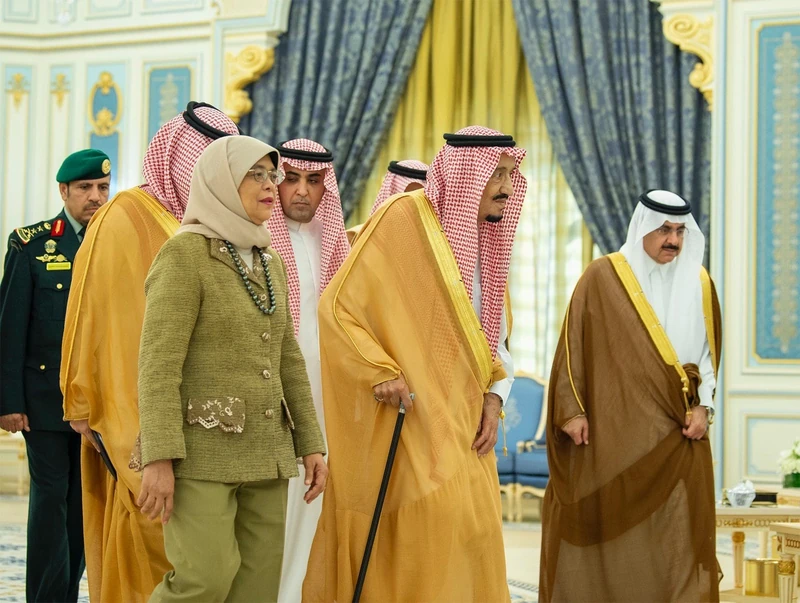 سيدي خادم الحرمين الشريفين خلال استقباله رئيسة جمهورية سنغافورة - صورة 7
