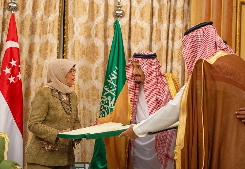 سيدي خادم الحرمين الشريفين خلال استقباله رئيسة جمهورية سنغافورة - صورة 10