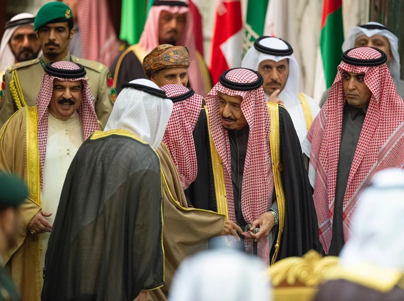 سيدي خادم الحرمين الشريفين يستقبل قادة دول مجلس التعاون - صورة 14