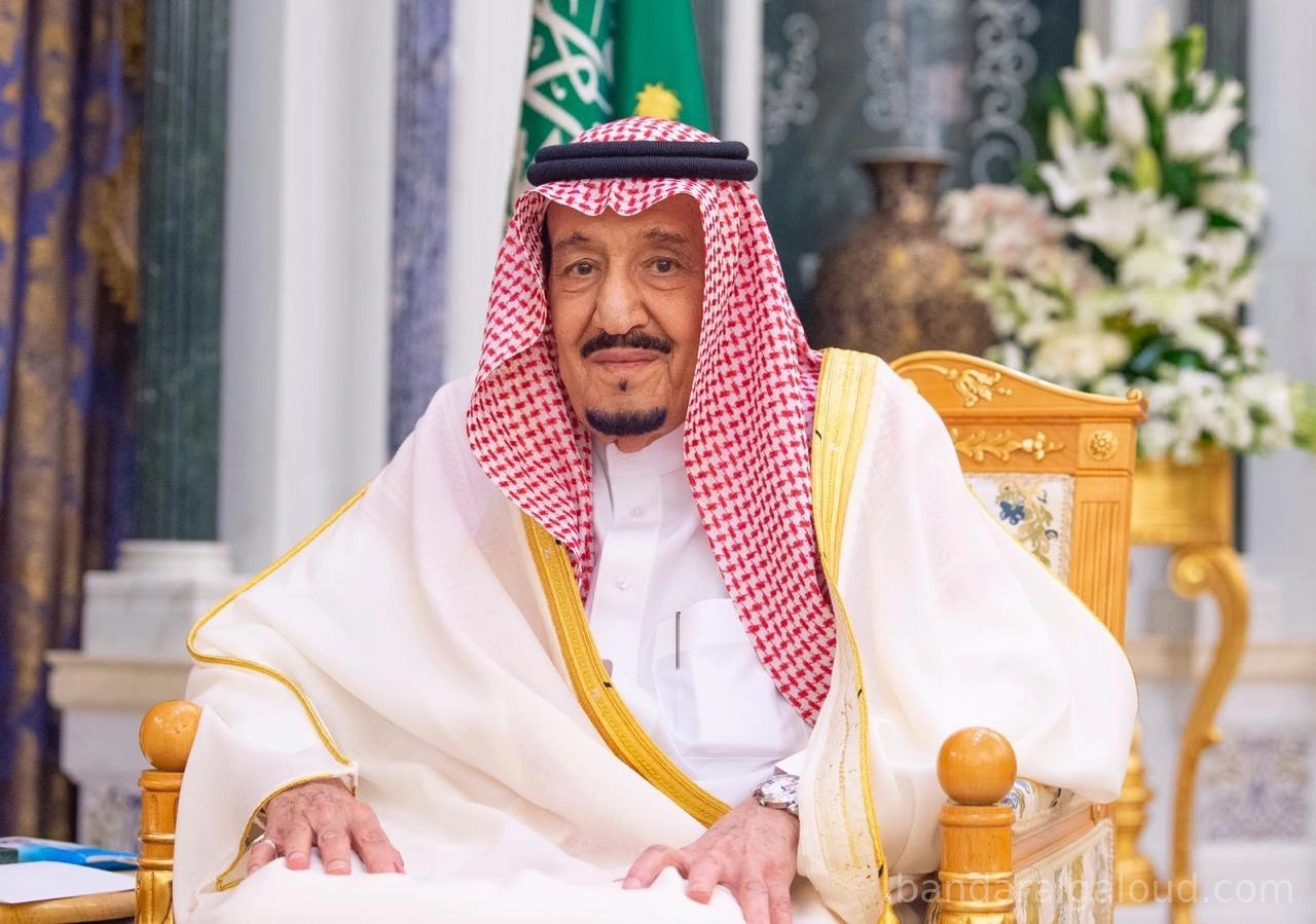 سيدي خادم الحرمين الشريفين يستقبل رئيس البرلمان العربي - صورة 1