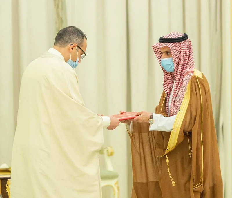 سفراء دول شقيقة وصديقة يقدمون أوراق اعتمادهم أمام سيدي خادم الحرمين الشريفين - صورة 14