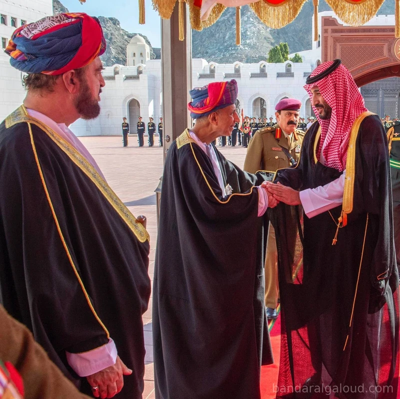 مراسم استقبال رسمية لسمو سيدي ولي العهد بمناسبة زيارته الرسمية لسلطنة عُمان - صورة 3