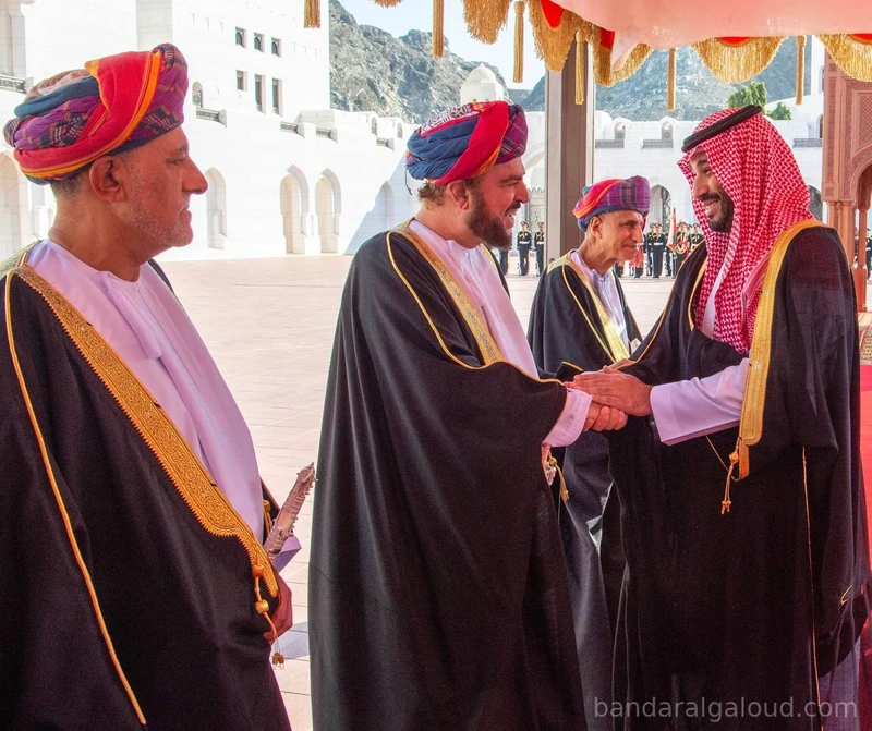 مراسم استقبال رسمية لسمو سيدي ولي العهد بمناسبة زيارته الرسمية لسلطنة عُمان - صورة 4