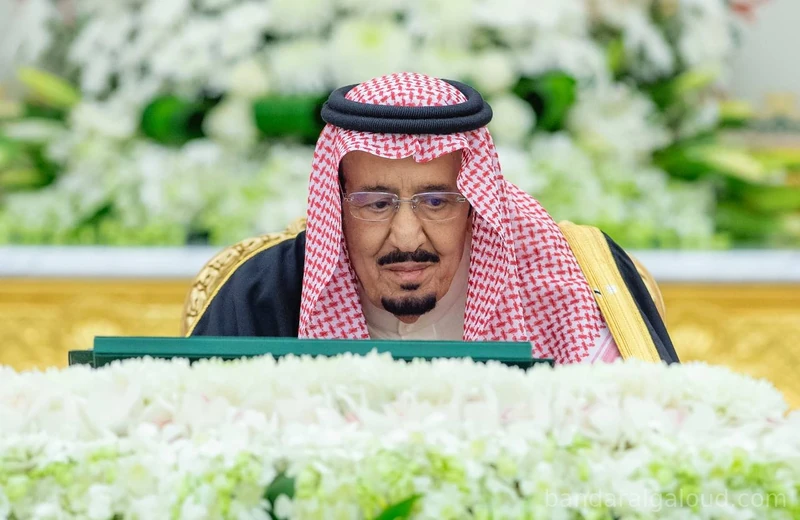سيدي خادم الحرمين الشريفين يرأس جلسة مجلس الوزراء - صورة 6
