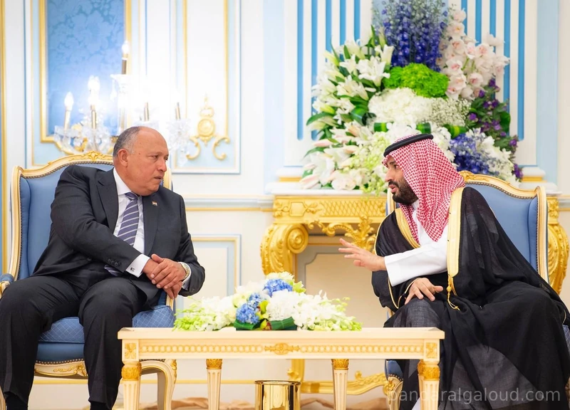 سيدي خادم الحرمين الشريفين يستقبل رئيس جمهورية مصر العربية ويقيم مأدبة غداء تكريماً لفخامته - صورة 9