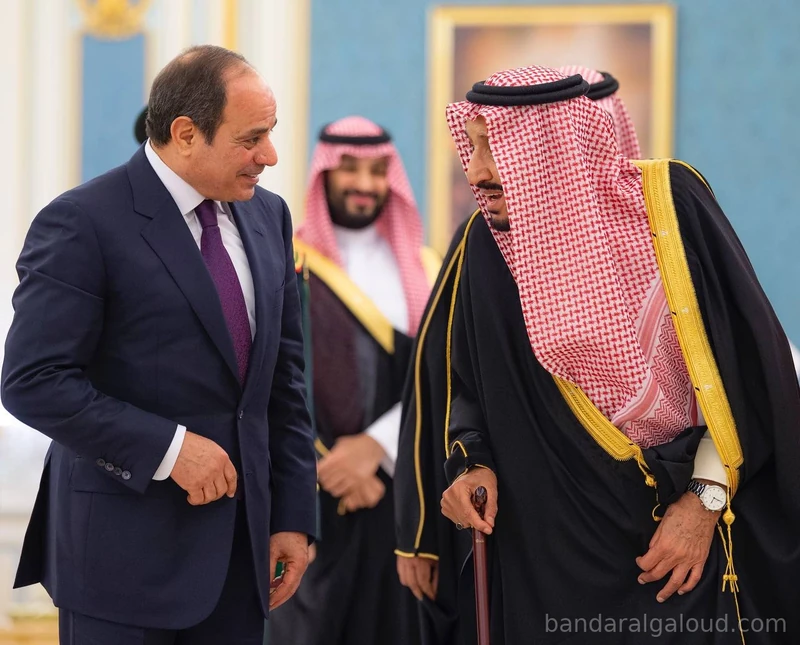 سيدي خادم الحرمين الشريفين يستقبل رئيس جمهورية مصر العربية ويقيم مأدبة غداء تكريماً لفخامته - صورة 13