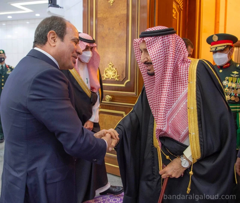 سيدي خادم الحرمين الشريفين يستقبل رئيس جمهورية مصر العربية ويقيم مأدبة غداء تكريماً لفخامته - صورة 17