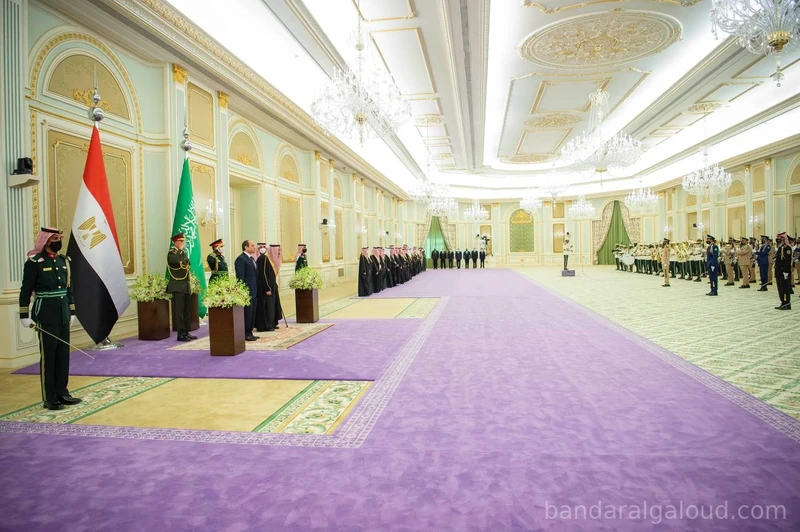 سيدي خادم الحرمين الشريفين يستقبل رئيس جمهورية مصر العربية ويقيم مأدبة غداء تكريماً لفخامته - صورة 18