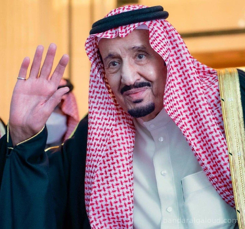 سيدي خادم الحرمين الشريفين يستقبل رئيس جمهورية مصر العربية ويقيم مأدبة غداء تكريماً لفخامته - صورة 25