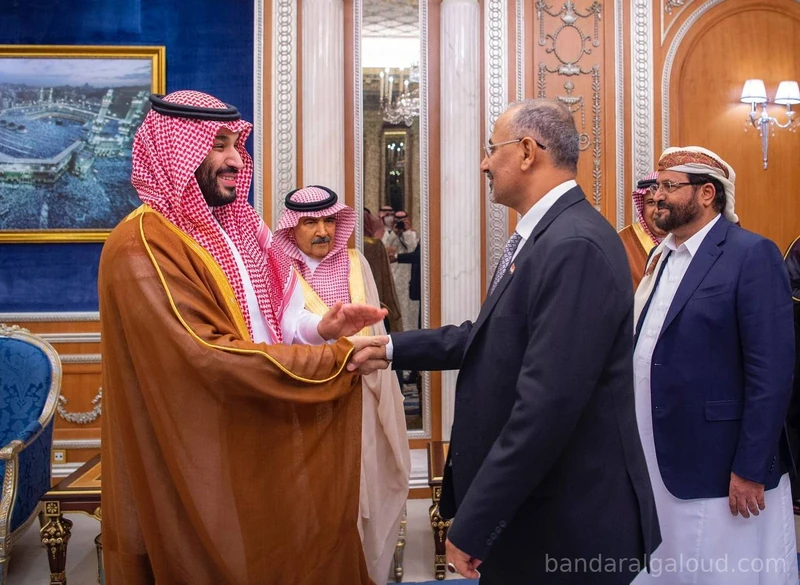 سمو سيدي يستقبل فخامة رئيس مجلس القيادة الرئاسي اليمني وأعضاء المجلس - صورة 2