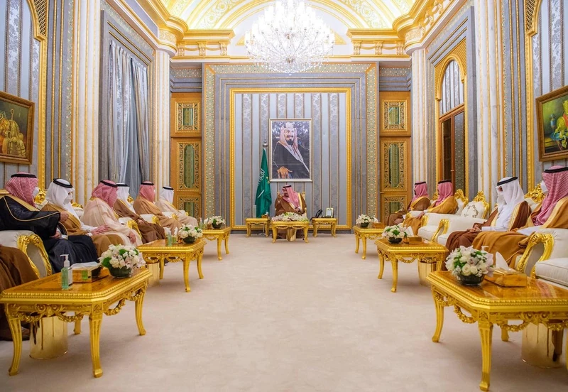 سيدي خادم الحرمين الشريفين يستقبل أصحاب السمو أمراء المناطق بمناسبة اجتماعهم السنوي التاسع والعشرين - صورة 6
