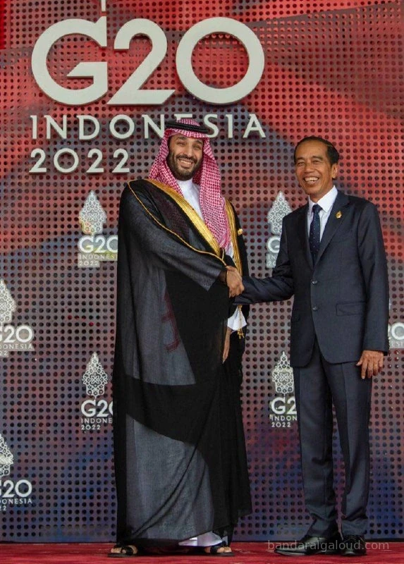 سمو سيدي ولي العهد يصل قمة مجموعة العشرين وفخامة رئيس إندونيسيا في استقباله - صورة 4