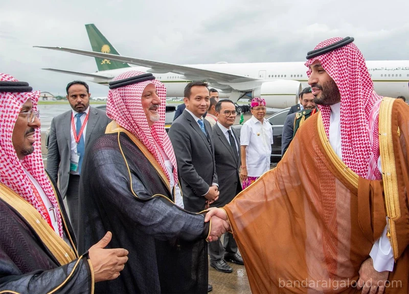 سمو سيدي ولي العهد يغادر إندونيسيا بعد رئاسة وفد المملكة في قمة العشرين - صورة 4