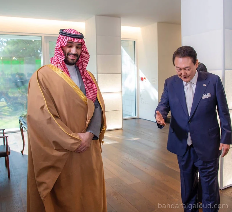 سمو سيدي ولي العهد يلتقي فخامة رئيس جمهورية كوريا في سيئول - صورة 4