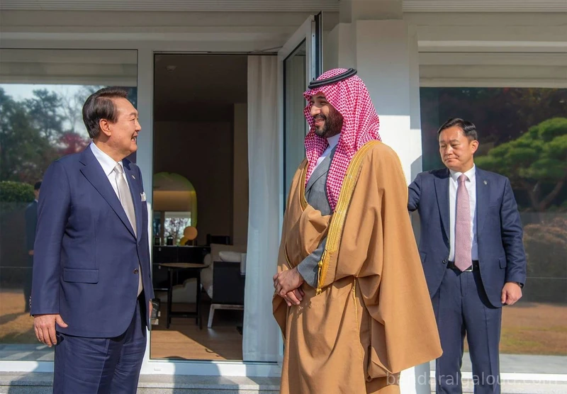 سمو سيدي ولي العهد يلتقي فخامة رئيس جمهورية كوريا في سيئول - صورة 12