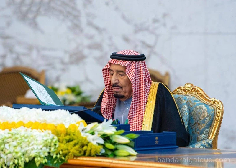سيدي خادم الحرمين الشريفين يرأس جلسة مجلس الوزراء - صورة 6