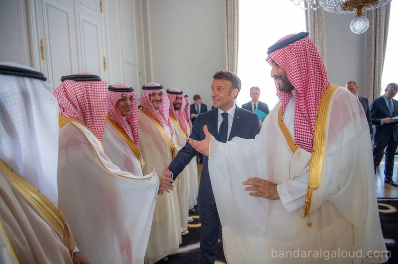 سيدي ولي العهد يلتقي فخامة رئيس الجمهورية الفرنسية في قصر الإليزيه بباريس - صورة 4