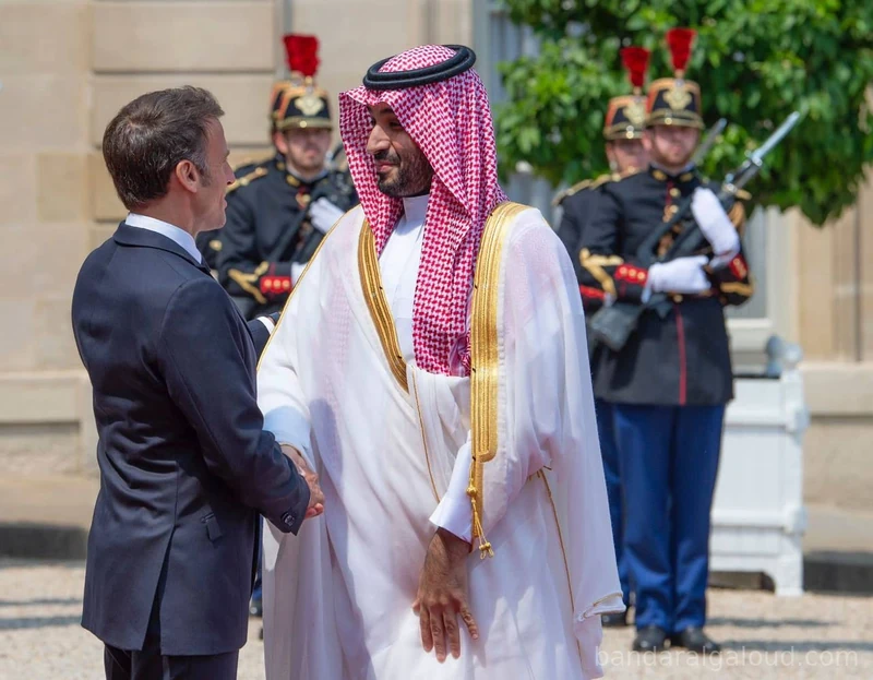 سيدي ولي العهد يلتقي فخامة رئيس الجمهورية الفرنسية في قصر الإليزيه بباريس - صورة 5