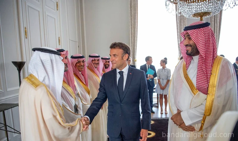 سيدي ولي العهد يلتقي فخامة رئيس الجمهورية الفرنسية في قصر الإليزيه بباريس - صورة 6