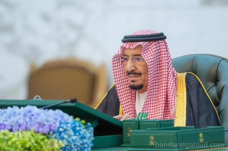 سيدي خادم الحرمين الشريفين يرأس جلسة مجلس الوزراء - صورة 2