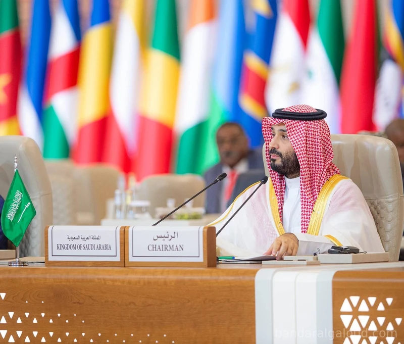 سمو سيدي ولي العهد يرأس ويفتتح أعمال القمة السعودية الأفريقية بالرياض. - صورة 3
