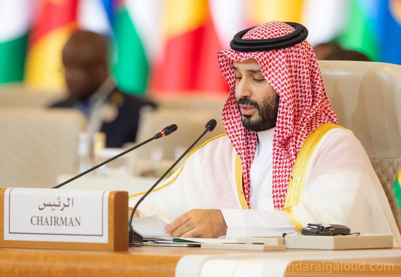 سمو سيدي ولي العهد يرأس ويفتتح أعمال القمة السعودية الأفريقية بالرياض. - صورة 4
