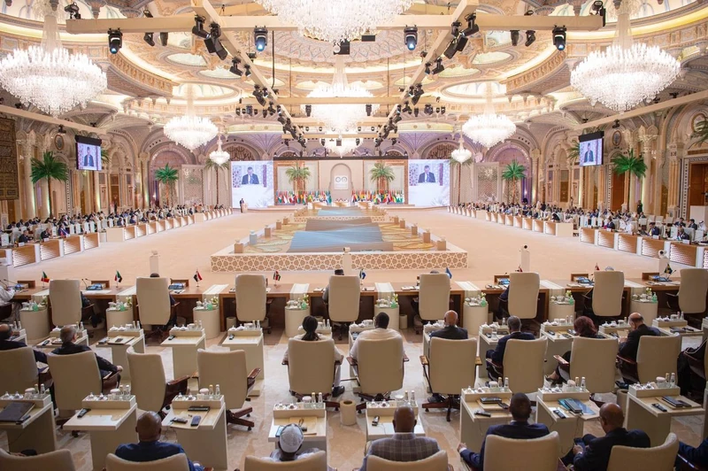 سمو سيدي ولي العهد يرأس القمة العربية الإسلامية المشتركة بالرياض نيابة عن سيدي خادم الحرمين الشريفين - صورة 12