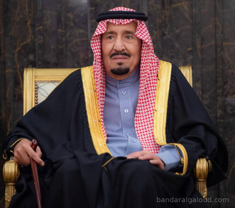 السفراء المعينون يؤدون القسم أمام سيدي خادم الحرمين الشريفين - صورة 1
