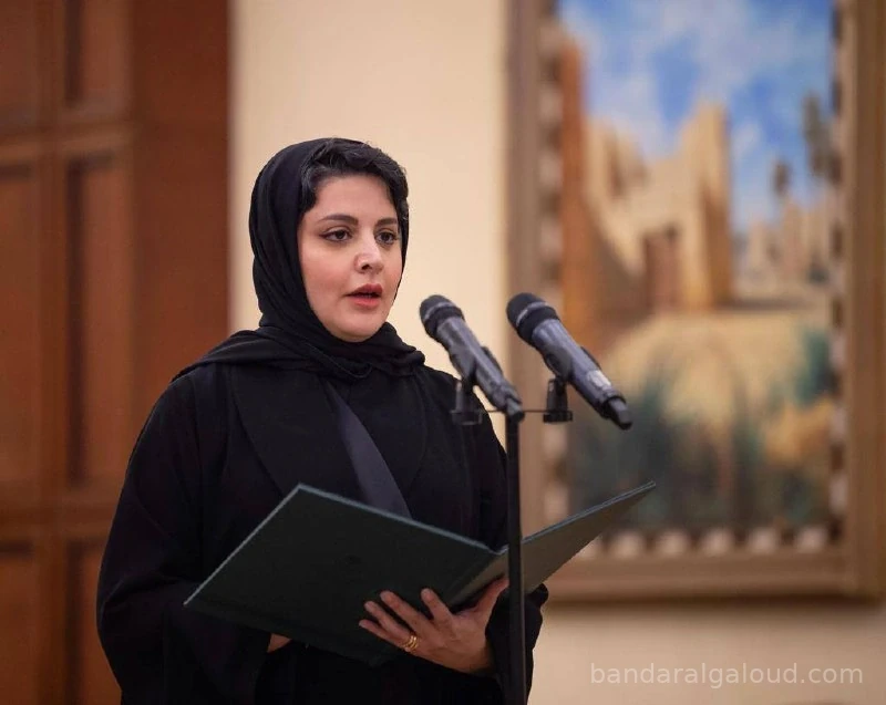 السفراء المعينون يؤدون القسم أمام سيدي خادم الحرمين الشريفين - صورة 3