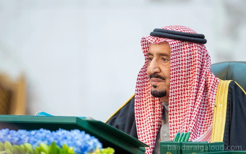 سيدي خادم الحرمين الشريفين يرأس جلسة مجلس الوزراء - صورة 3