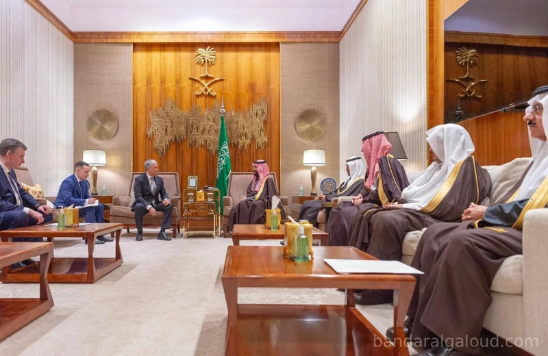 سمو سيدي ولي العهد يستقبل رئيس مجلس الدوما الروسي - صورة 2