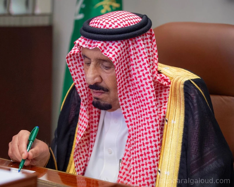 سيدي خادم الحرمين الشريفين يرأس جلسة مجلس الوزراء عبر الاتصال المرئي - صورة 6