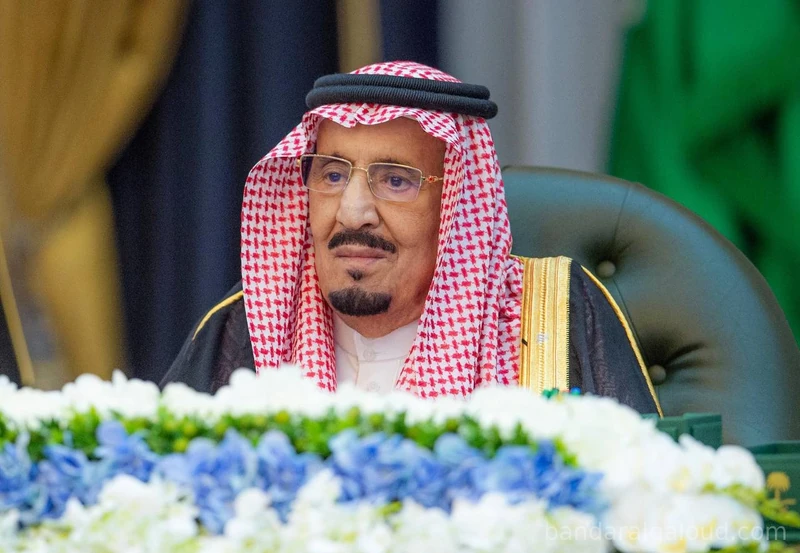 سيدي خادم الحرمين الشريفين يرأس جلسة مجلس الوزراء - صورة 3