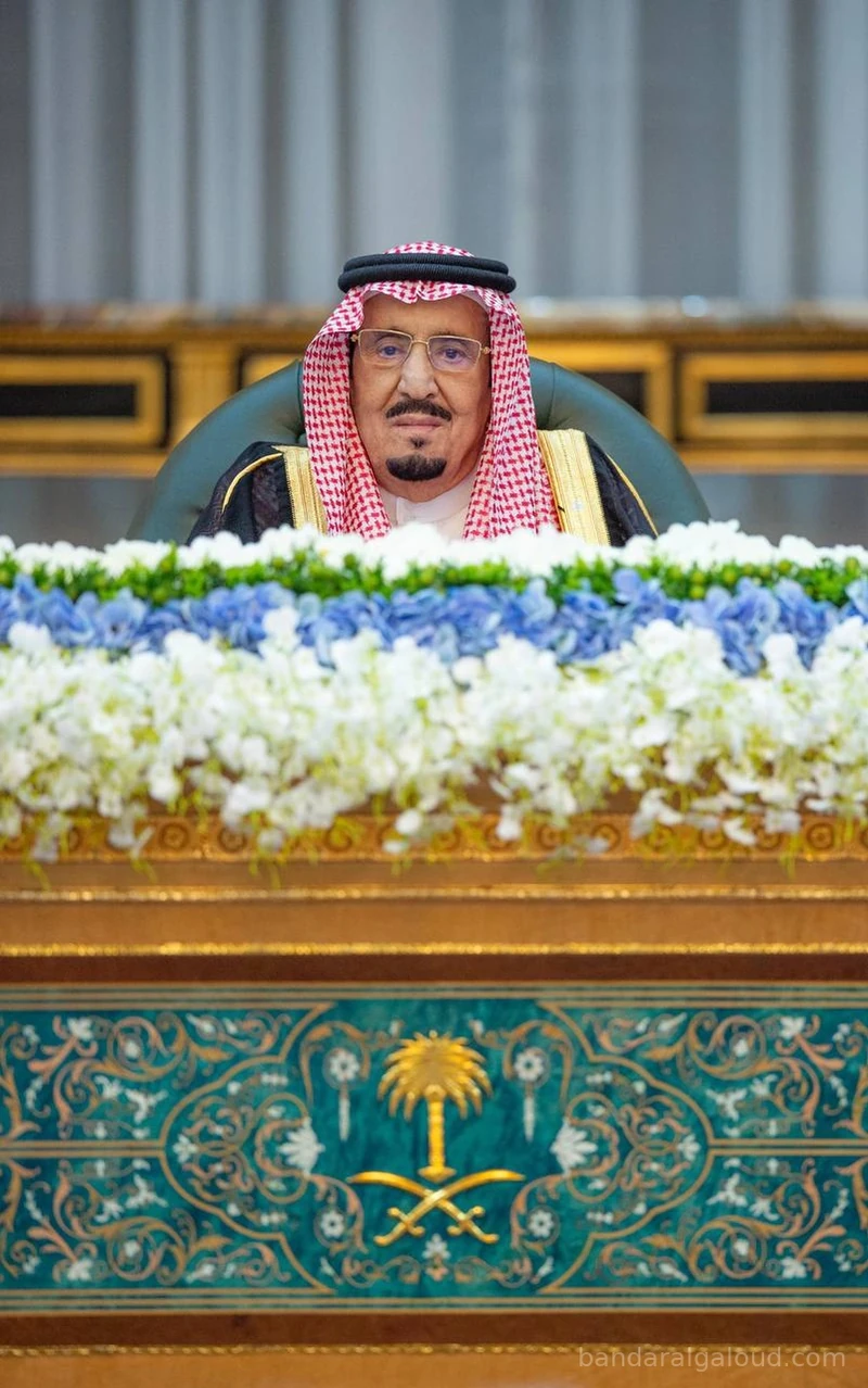 سيدي خادم الحرمين الشريفين يرأس جلسة مجلس الوزراء - صورة 6