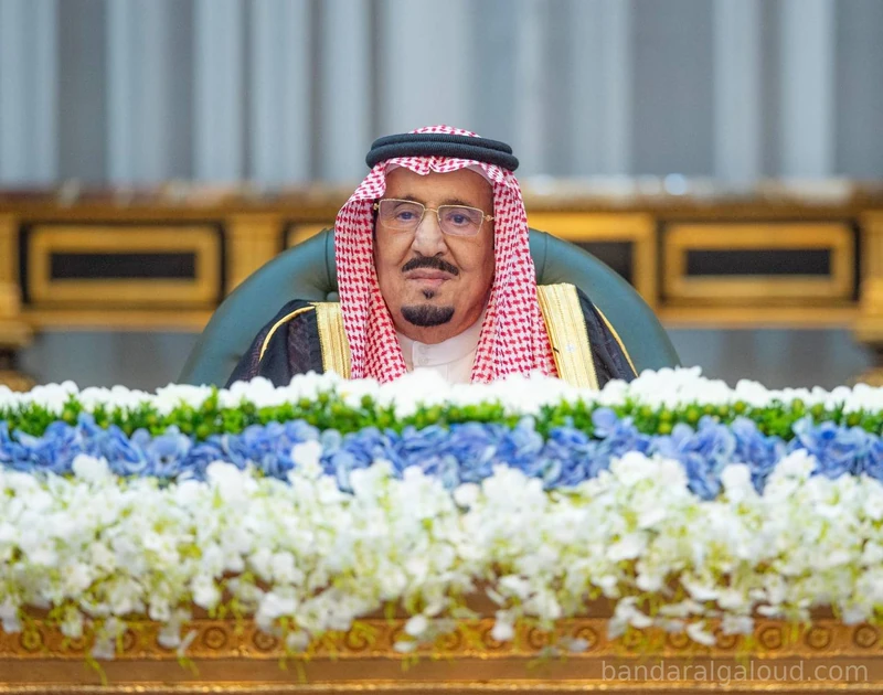 سيدي خادم الحرمين الشريفين يرأس جلسة مجلس الوزراء - صورة 2