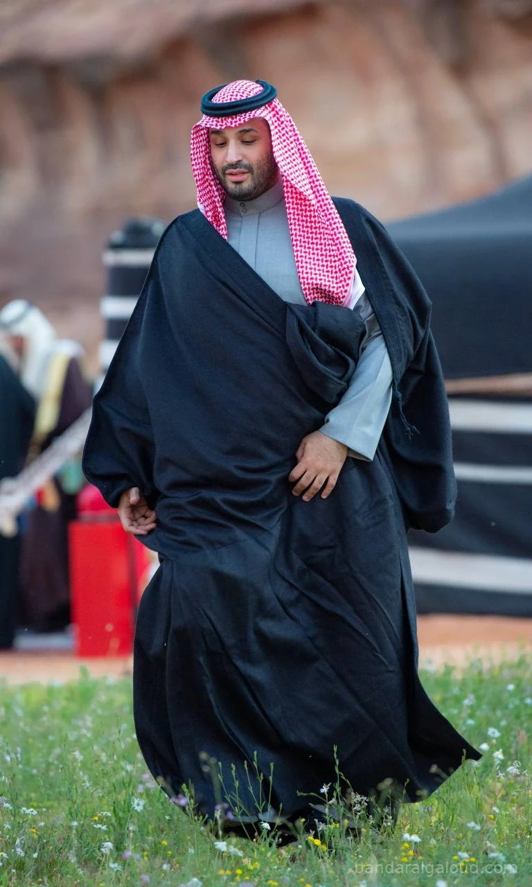 سمو سيدي ولي العهد يستقبل رئيس وزراء اليونان في العلا - صورة 6