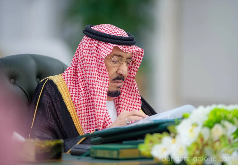 سيدي خادم الحرمين الشريفين يرأس جلسة مجلس الوزراء بجدة - صورة 5