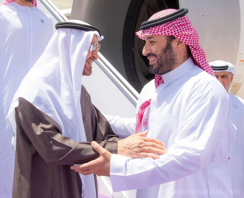 سمو رئيس دولة الإمارات العربية المتحدة، يصل إلى الرياض وسمو سيدي ولي العهد في مقدمة مستقبليه - صورة 3