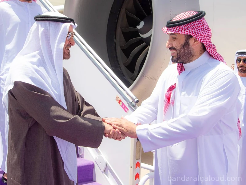 سمو رئيس دولة الإمارات العربية المتحدة، يصل إلى الرياض وسمو سيدي ولي العهد في مقدمة مستقبليه - صورة 4