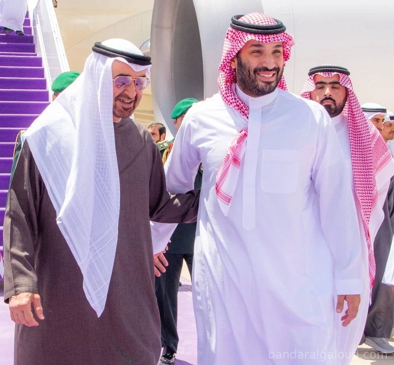سمو رئيس دولة الإمارات العربية المتحدة، يصل إلى الرياض وسمو سيدي ولي العهد في مقدمة مستقبليه - صورة 5
