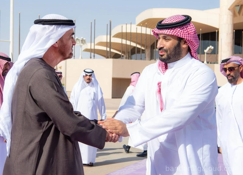 سمو سيدي ولي العهد في مقدمة مودعي سمو رئيس دولة الإمارات العربية المتحدة - صورة 2