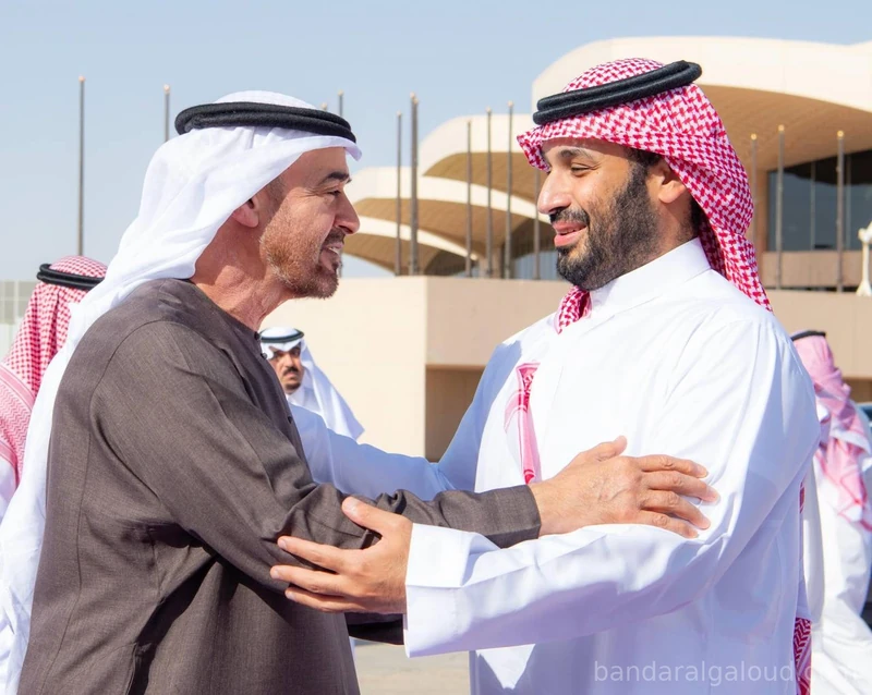 سمو سيدي ولي العهد في مقدمة مودعي سمو رئيس دولة الإمارات العربية المتحدة - صورة 5