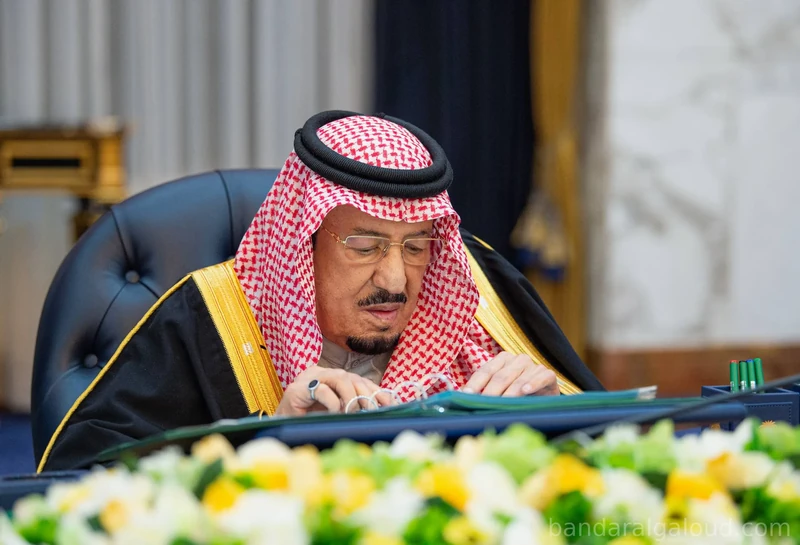 سيدي خادم الحرمين الشريفين يرأس جلسة مجلس الوزراء في الرياض - صورة 2